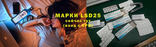 ECSTASY Алзамай