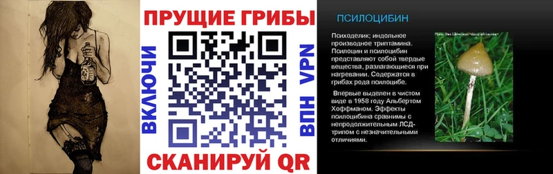 Псилоцибиновые грибы мицелий  где можно купить   Сольцы 