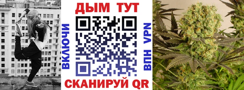 Шишки марихуана OG Kush  закладка  Сольцы 